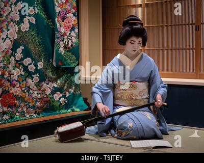 Kyoto, Japan - May 19, 2019: Young geisha in training, called a maiko, tunes her instrument prior to performance in traditional japanese inn Stock Photo