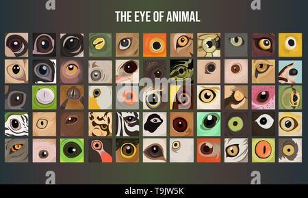 Halloween eyeball vector symbol set. Colorful cartoon clipart pupil ...