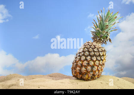 pineapple fruit on the beach sand against a blue sky with clouds, tropical summer vacation concept,  copy space Stock Photo