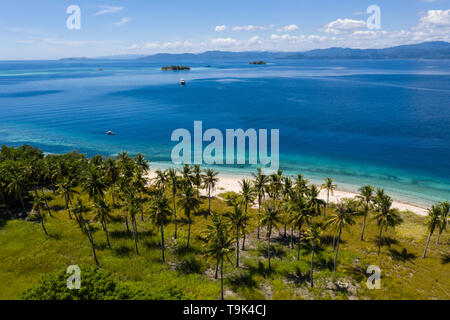 Seen from a bird's eye view, coconut palm trees grow on a remote island in Komodo National Park, Indonesia. Stock Photo