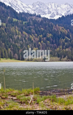 Scenic landscape at Schwarzsee in Fribourg. Grass growing into lake with green hills and forest leading to snowy mountain peaks. Stock Photo