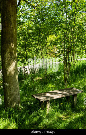 Simple wooden bench, on a sunny day in a woodland glade, with dappled shade. Stock Photo
