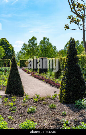 The cottage garden at RHS Hyde Hall  in Essex.Displaying some formal topiary and hedging. Stock Photo