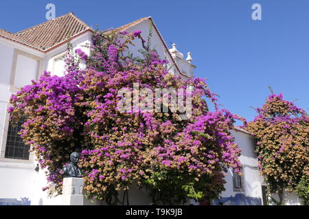 Beautiful tree with purple color at a church in Lisbon, Portugal Stock Photo