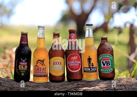 Different Australian beer brands, six bottles of beer from different breweries on tree trunk, Tooheys old Dark Ale, Great Northern Brewing Co., XXXX Stock Photo