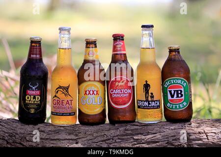 Different Australian beer brands, six bottles of beer from different breweries on tree trunk, Tooheys old Dark Ale, Great Northern Brewing Co., XXXX Stock Photo