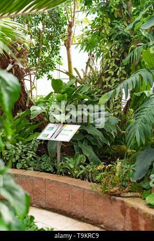 Novy Dvur, Oprava, Czech Republic, 26 April 2019 - Greenhouse at Arboretum of Novy Dvur Botanical Garden with tropical plants Stock Photo