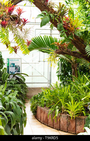 Novy Dvur, Oprava, Czech Republic, 26 April 2019 - Greenhouse at Arboretum of Novy Dvur Botanical Garden with tropical plants Stock Photo