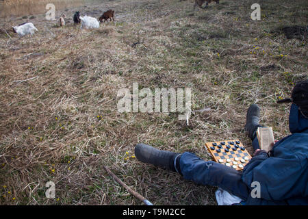 An old man in messy clothes sits on a hill playing chess, grazing a flock of his own goats against the backdrop of a withered nature Stock Photo