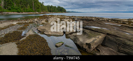 The Shore of Cable Bay in Pebble Beach Reserve on Galiano Island, British Columbia, Canada. Stock Photo