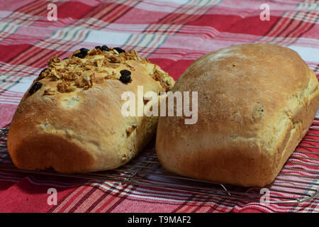 freshly baked bread Stock Photo