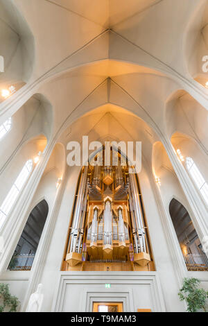 Beautiful Interior of Hallgrimskirkja Cathedral in Iceland Stock Photo