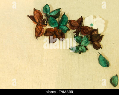 Dry herbal flower piece on white background Stock Photo