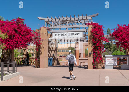 TEMPE, AZ/USA - APRIL 10, 2019: Unidentified individuals at Hayden Library on the campus of Arizona State University. Stock Photo