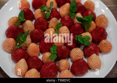 Closeup of red and pale strawberries on white plate Stock Photo