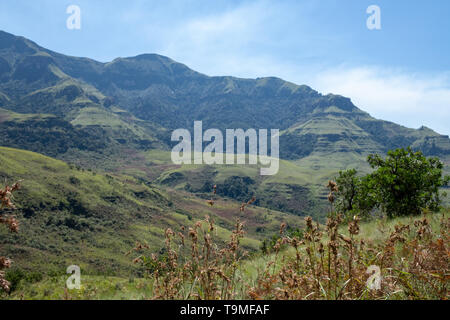 Monks Cowl Nature reserve in the Champagne Valley near Winterton, forming part of the central Drakensberg mountain range, Kwazulu Natal, South Africa. Stock Photo