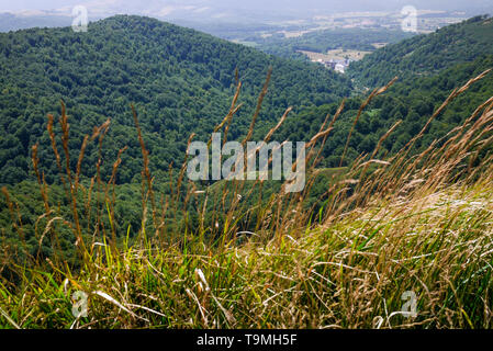 Roncevaux, Pyrénées-Atlantiques, France Stock Photo