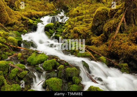 Cascade of water over boulders and moss from snow melt in spring from the Chugach Mountains bordering Eyak Lake  in Southcentral Alaska. Stock Photo