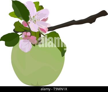 Green apple and branch in blossom, vector flat isolated illustration Stock Vector
