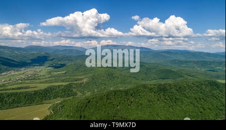 Mountains covered with green forest and river. Carpathians. View from above. Stock Photo