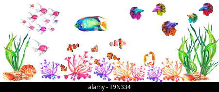 Watercolor hand painted aquarium with water-plants, corals, fishes and shells on white background Stock Photo