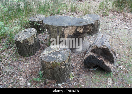 Brownsea Island Dorset England Stock Photo