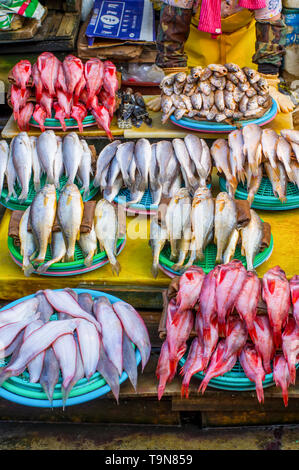 Jagalchi Market - fish market in Pusan (Busan), South Korea - Alamy