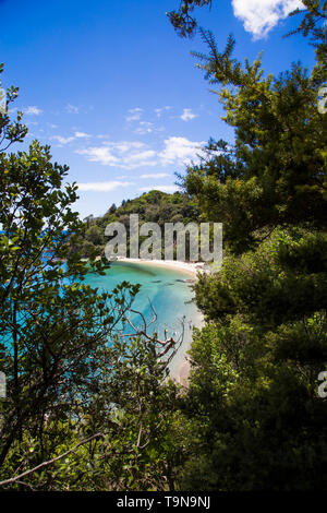 View through trees walking down to Whale Bay. Glorious white sand beach with warm, clear turquoise water. Near Matapouri, Tutukaka coast, Northland. Stock Photo