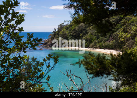 View through trees walking down to Whale Bay. Glorious white sand beach with warm, clear turquoise water. Near Matapouri, Tutukaka coast, Northland. Stock Photo