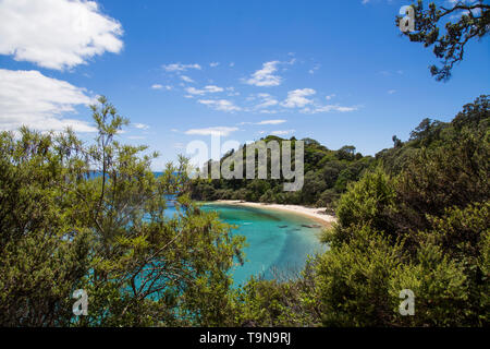 View through trees walking down to Whale Bay. Glorious white sand beach with warm, clear turquoise water. Near Matapouri, Tutukaka coast, Northland. Stock Photo