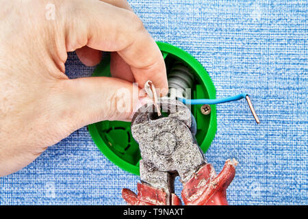 Repairman is cutting copper wires inside round electrical box with help of nippers tool, electric installation work. Stock Photo