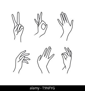 Woman's hand collection line. Vector Illustration of female hands of different gestures - victory, okay. Lineart in a trendy minimalist style. Stock Vector