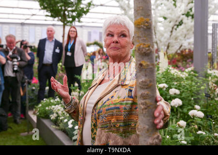 Royal Hospital Chelsea. West London, UK. 20th May, 2019. Dame Judith Dench visits Hillier Nurseries. The Royal Horticultural Society Chelsea Flower Show is an annual garden show held over five days in the grounds of the Royal Hospital Chelsea in West London. The show is open to the public from 21 May until 25 May 2019. Credit: Dinendra Haria/Alamy Live News Stock Photo