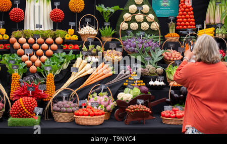 Royal Hospital Chelsea, London, UK. 20th May 2019. Chelsea Flower Show 2019 press day. Credit: Malcolm Park/Alamy Live News. Stock Photo