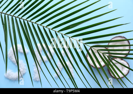 Beautiful tropical leaf, word SPA made of sea salt and coconuts on color background Stock Photo