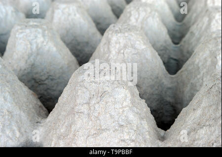 Underside of an Empty Biodegradable Molded Pulp Fiber Egg Carton Tray. Stock Photo