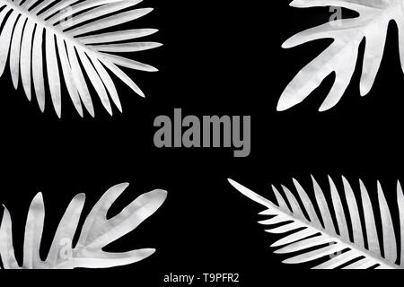 Collection of tropical leaves,foliage plant in black and white color with space background.Abstract leaf decoration design.Exotic nature for cover tem Stock Photo