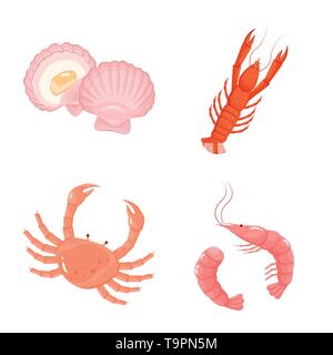jellyfish,shrimp,fish,prawn,jelly,animal,menu,underwater,lobster ...