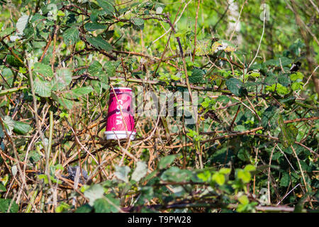 Costa Coffee paper disposable cup as litter thrown away into undergrowth Stock Photo