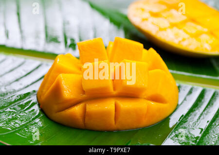 Fresh mango on green palm leaf. Close up. Stock Photo