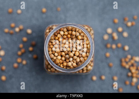 Coriander seeds in a jar on grey stone background. Top view. Copy space. Stock Photo