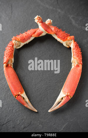 A pair of boiled, spider crab claws, Maja brachydactyla, from a crab that was caught from a pier in the UK in a baited drop net. It has been boiled Stock Photo