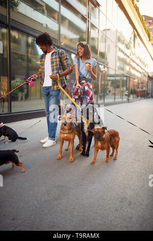Dog walking on leash with couple professional dog walker on the street Stock Photo