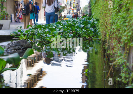 Santo Domingo, Dominican Republic 04/22/2019, pond with aquatic plants in the colonial zone of santo domingo Stock Photo