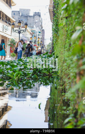 Santo Domingo, Dominican Republic 04/22/2019, pond with aquatic plants in the colonial zone of santo domingo Stock Photo