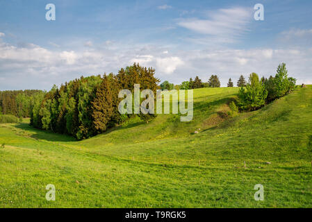 a green, flowery hill with a forest, against the sky Stock Photo