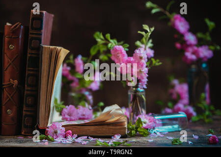 An open book with cut almond flowers. Spring reader table with copy space. Stock Photo