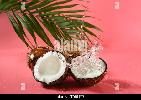 Ripe coconuts and splash of water on color background Stock Photo