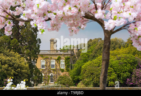 Pylewell House framed by blossom tree, Pylewell Park Estate, Lymington ...