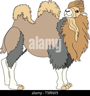vector scandi cartoon animal clip art bactrian camel Stock Vector